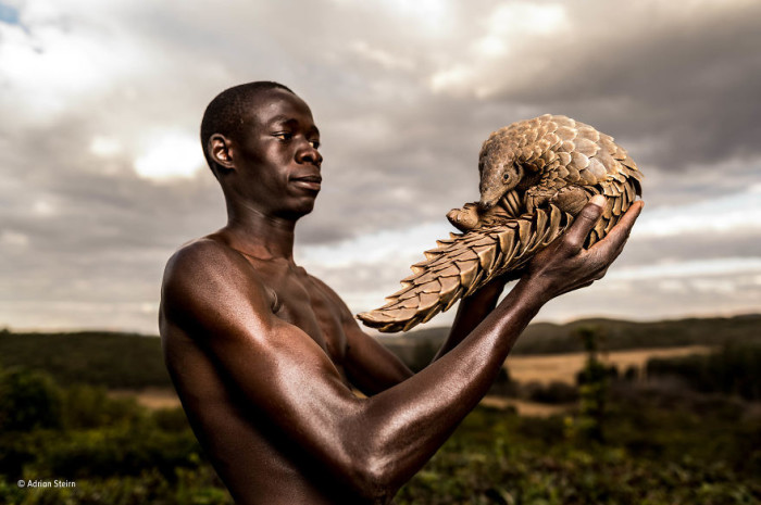 wildlife-photographer-of-the-year-2017-natural-history-museum-65-59e85d1c1cbac__880